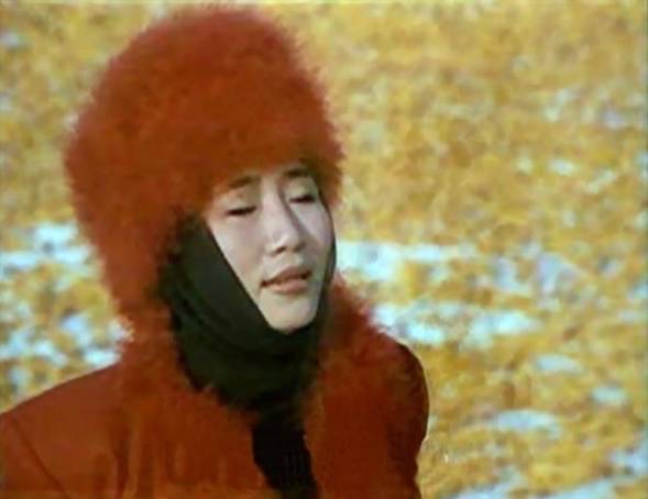 李娜40岁视频,李娜为何在最红时出家