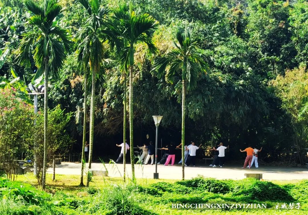 旅居海南：九所新区的浪漫情