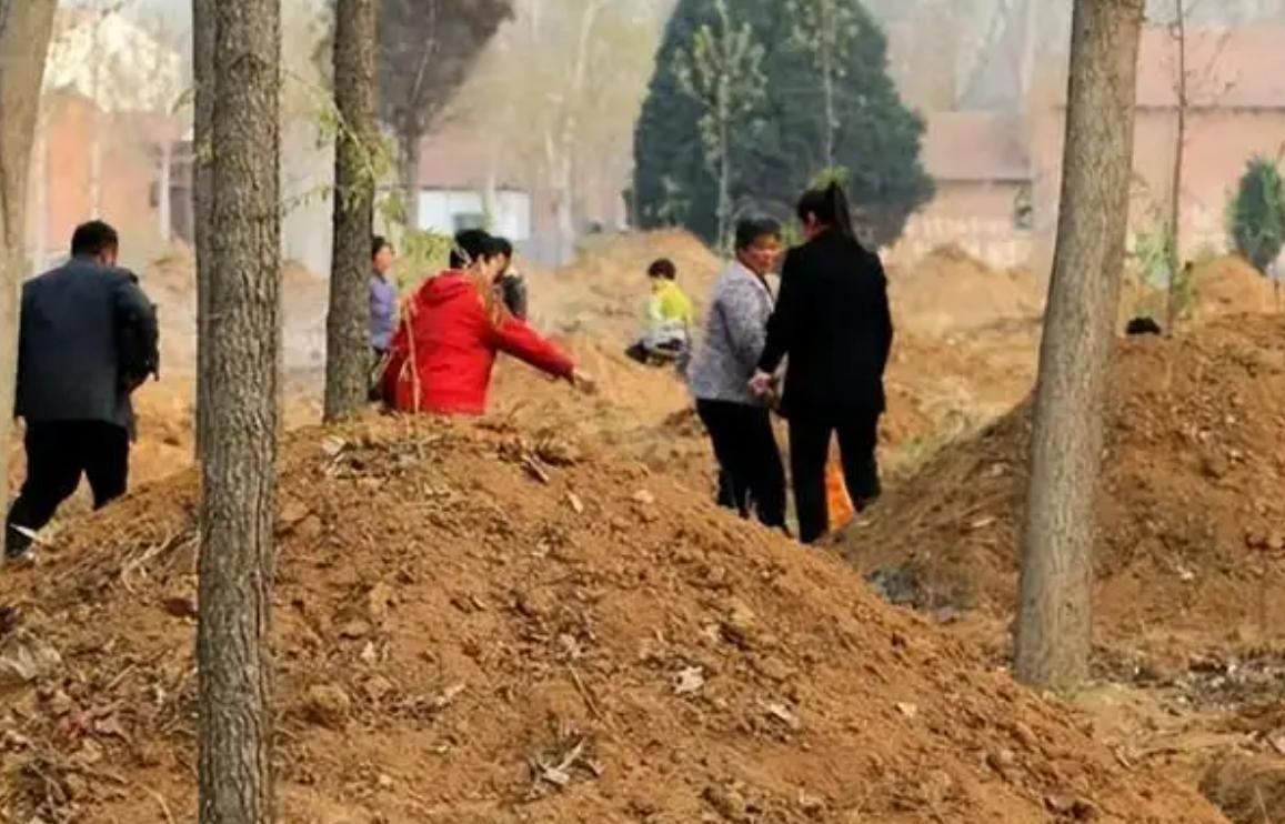 丧葬改革,殡葬改革条例有新规吗