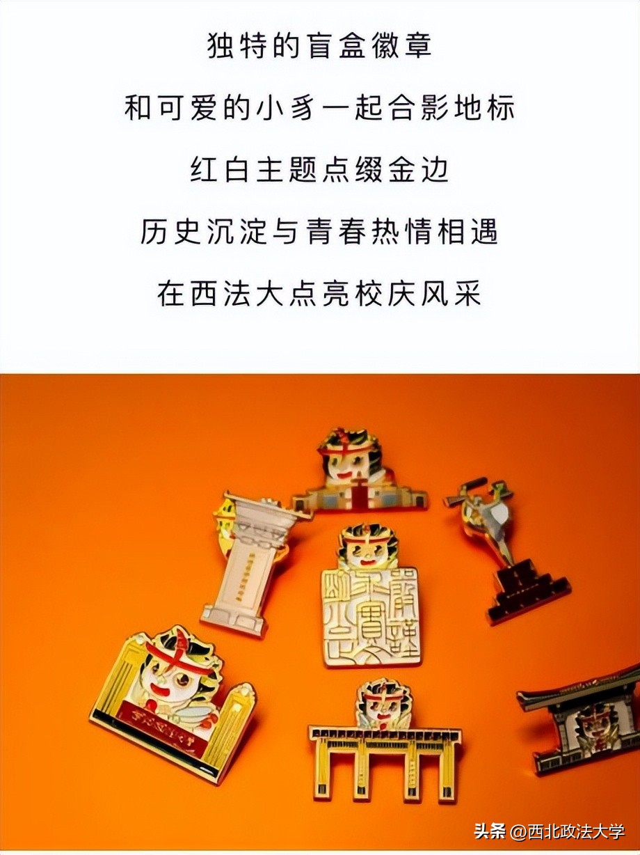 你为什么考研选择西法大,为什么选择西法大