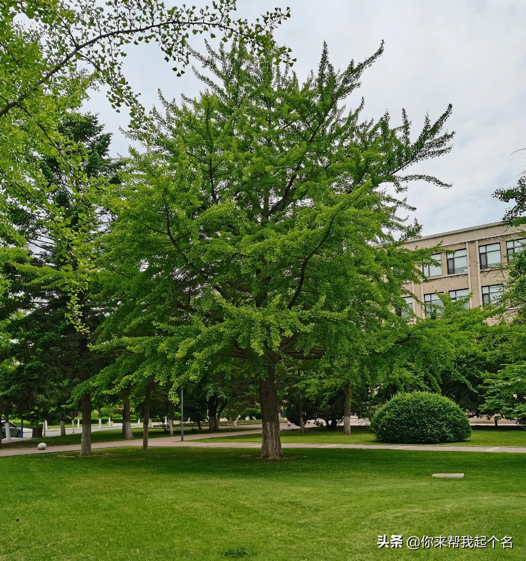 群内打广告该怎么正确管理,群里有人打广告怎么清除