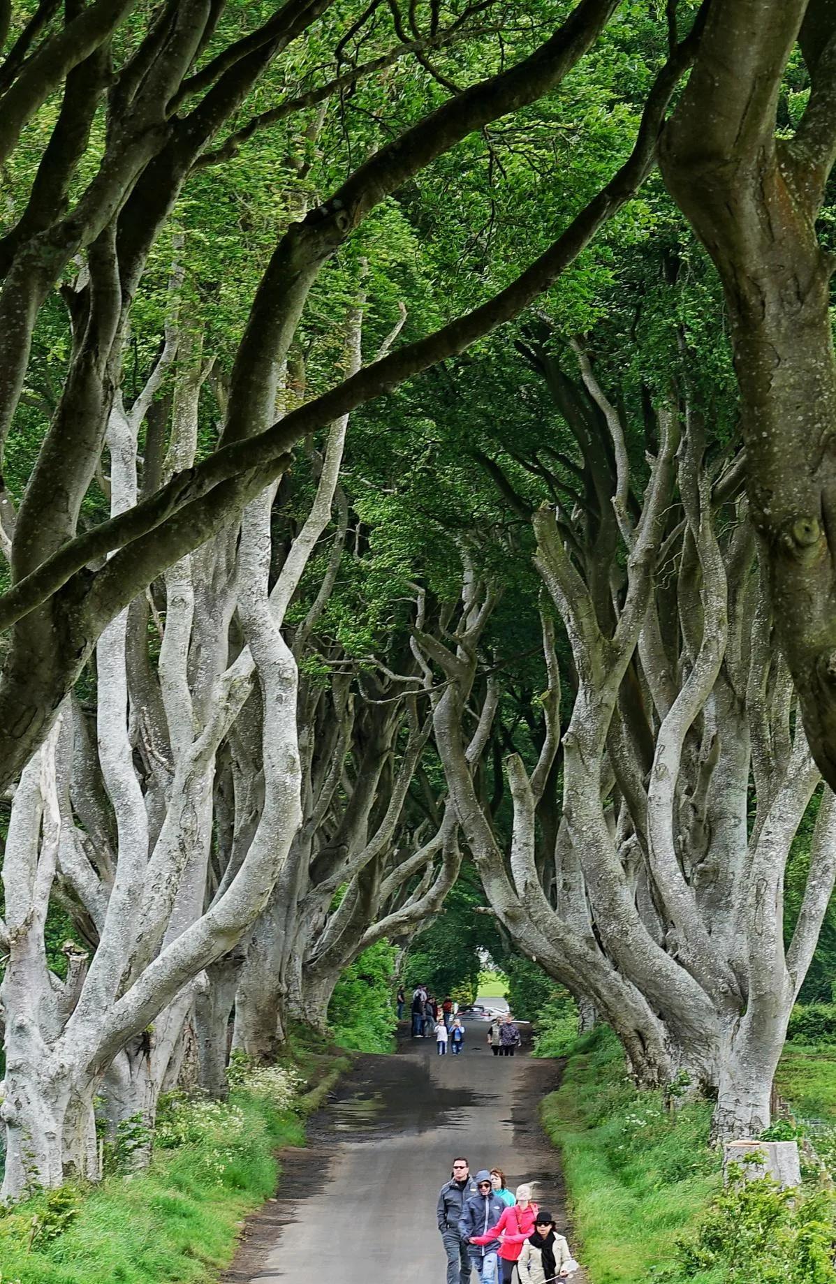 英伦三岛贝尔法斯特,体验权力的游戏