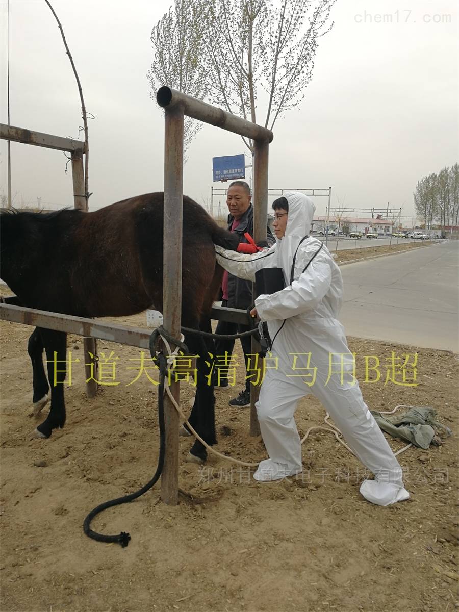 马用B超兽用B超检测母马发情怀孕方法步骤