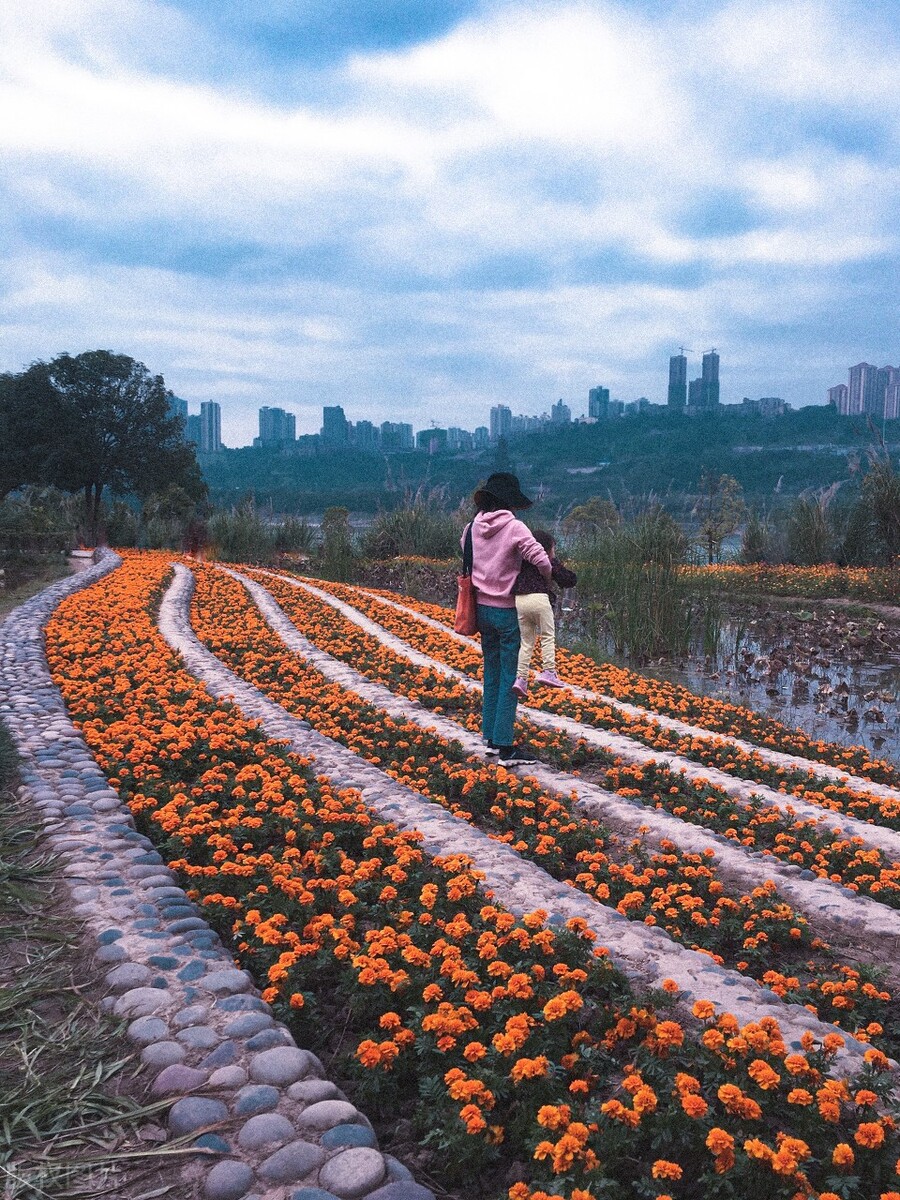 真正可以赚钱的农场有哪些,国内最成功的30个休闲农场