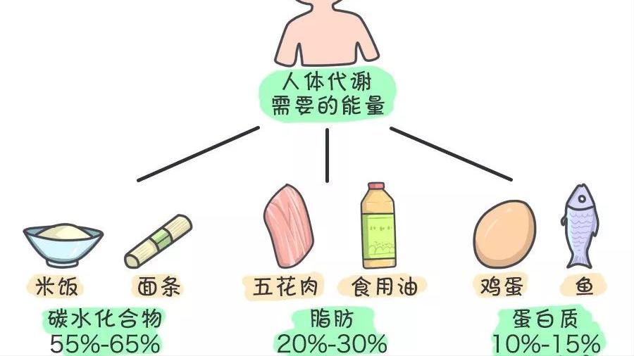 揭秘减重密码（一）了解肥胖及减重原理，健康减重事半功倍。