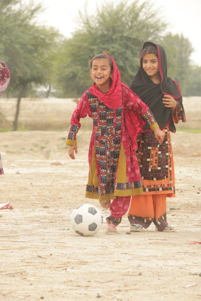 真实大象的照片,在野外拍到的真实大象