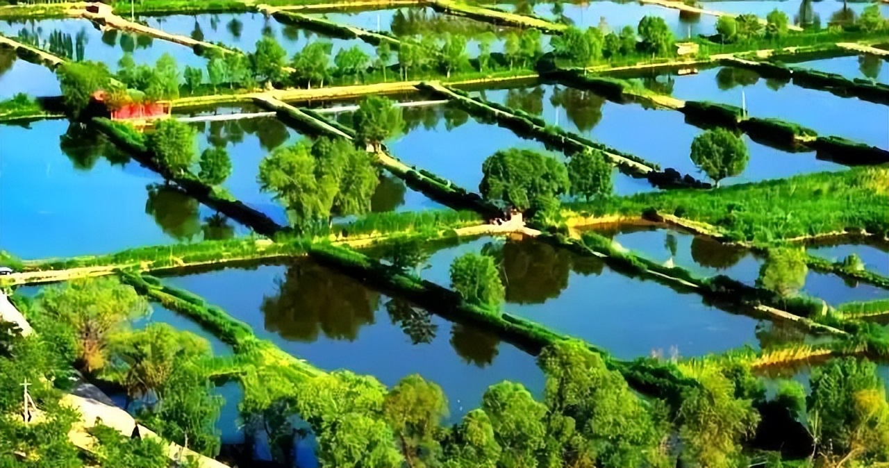 永靖旅游攻略一日游多少钱,永靖秋日一日游必去景点