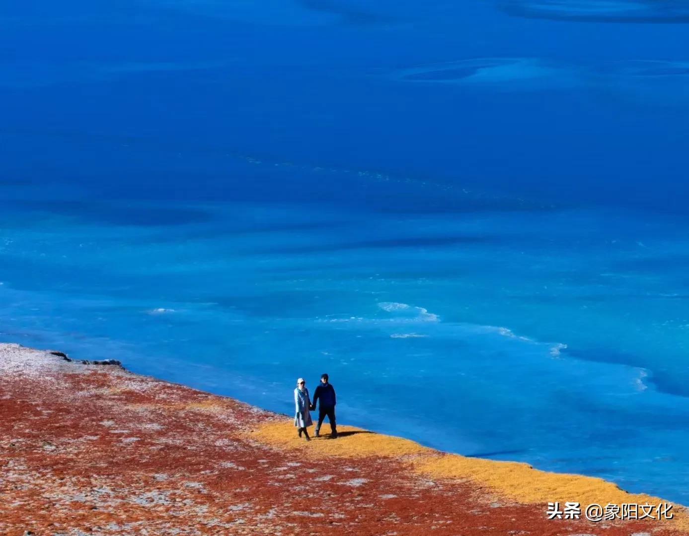 诗词/摄影鉴赏：《不负良人》《迎春花2022》《蓝海芳影》「249」