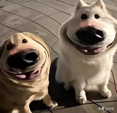 刘銮雄开记者会澄清传闻完整,刘銮雄记者招待会经典话题