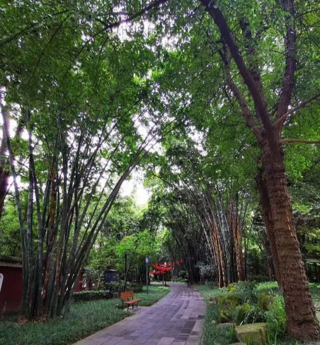 成都重庆九寨沟旅游攻略自由行,70-80岁老人旅游攻略成都