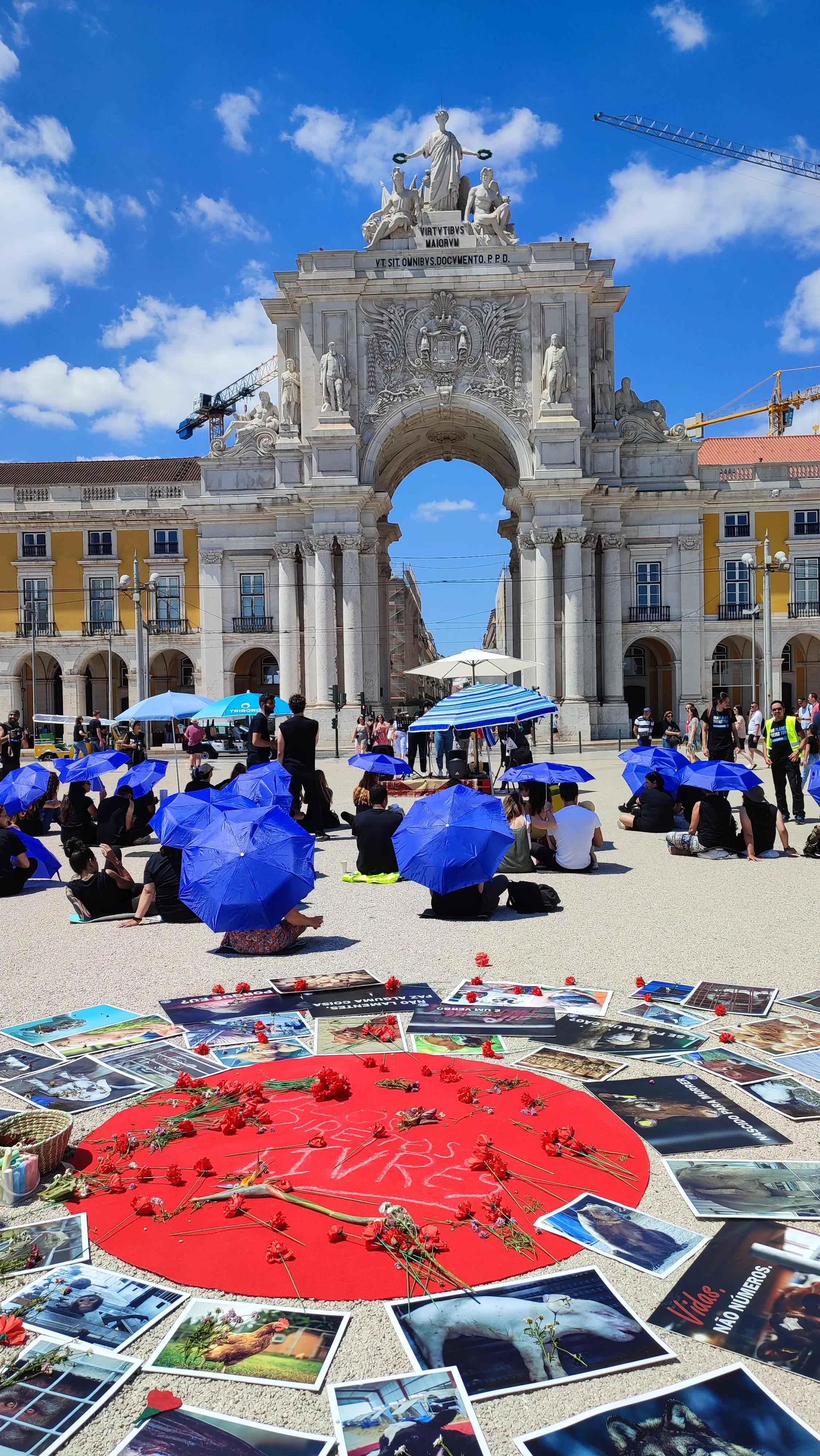 葡萄牙里斯本风景视频,葡萄牙里斯本旅游