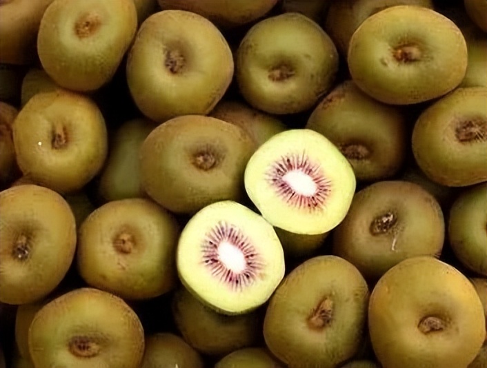 绿心猕猴桃和海沃德猕猴桃区别,海沃德猕猴桃种类
