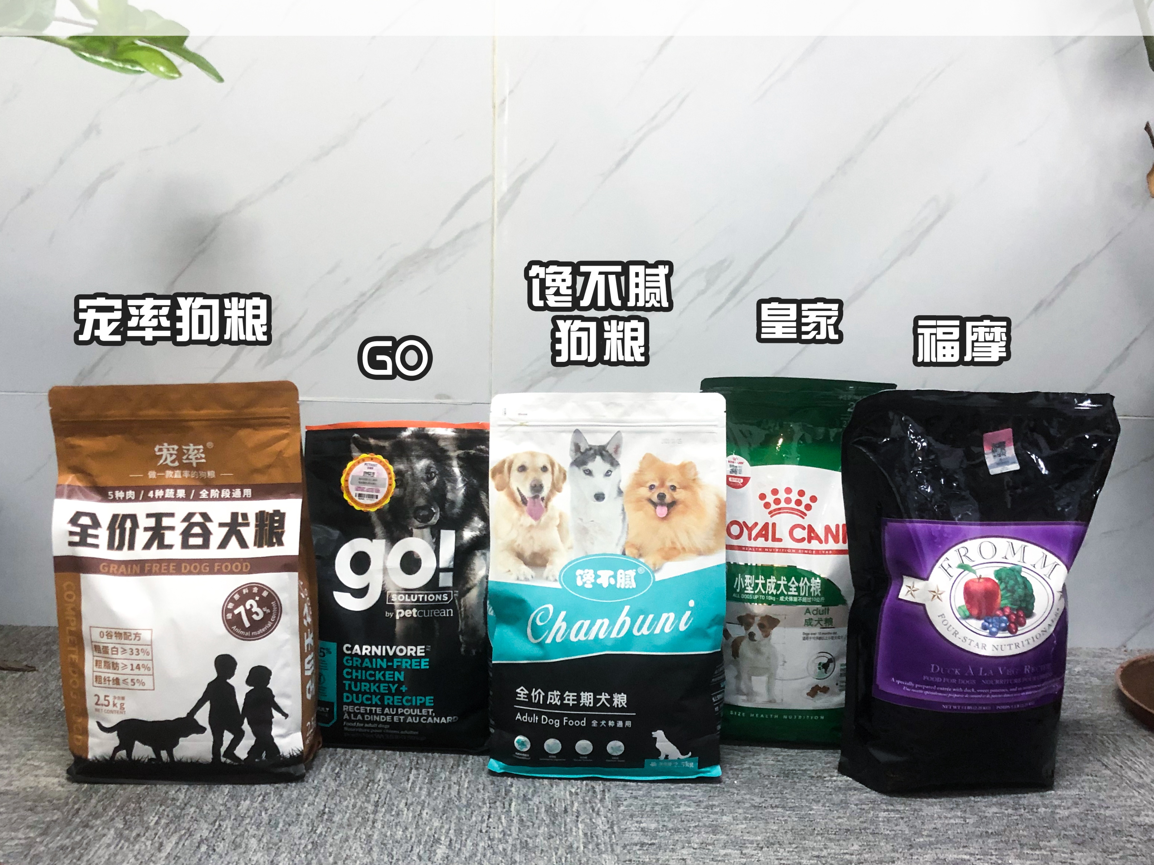 巴哥犬最令人头疼的5大缺点,巴哥狗短命吗
