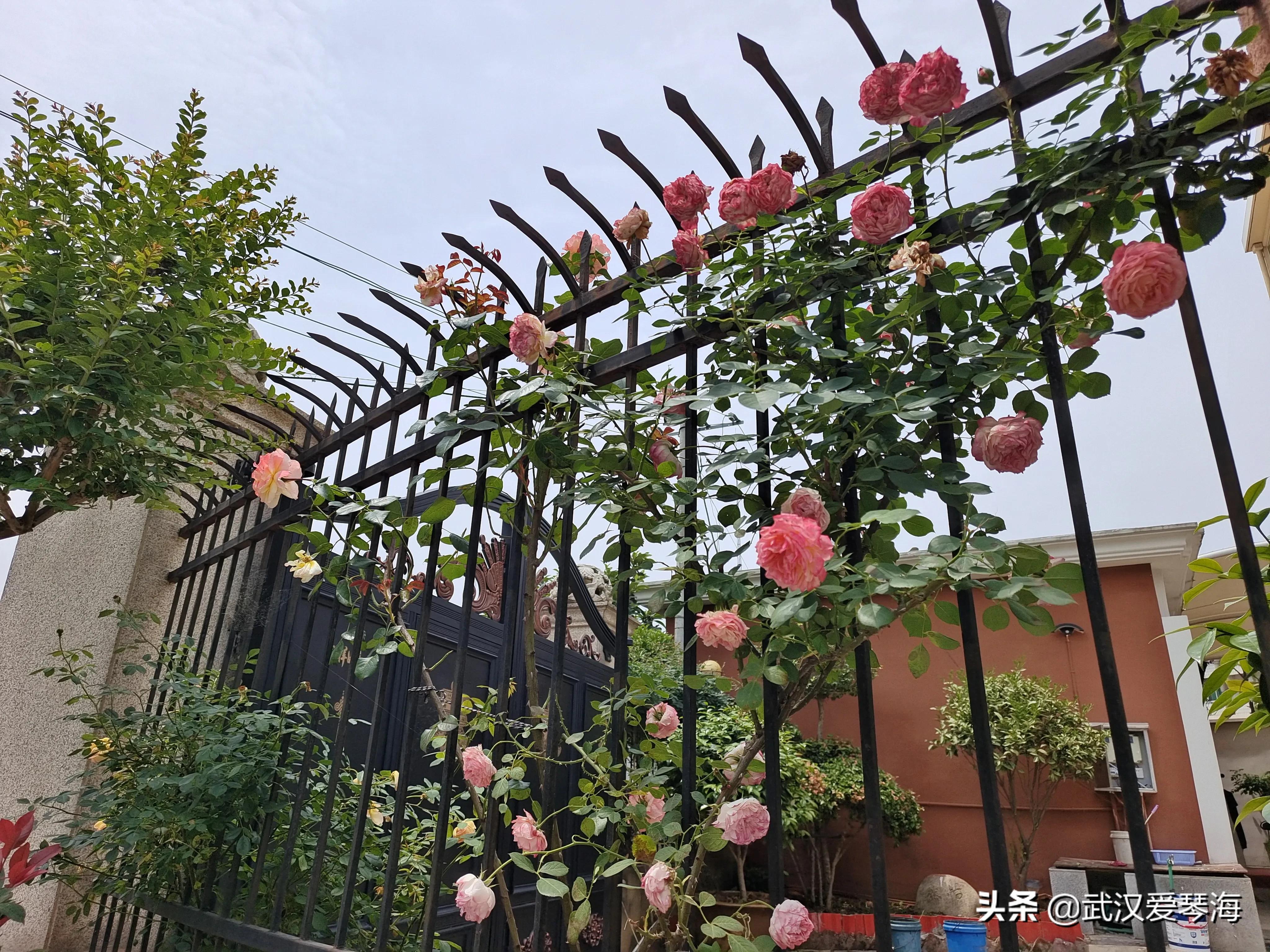 武汉青龙山爬山,武汉热门旅行线路青龙山穿八分山