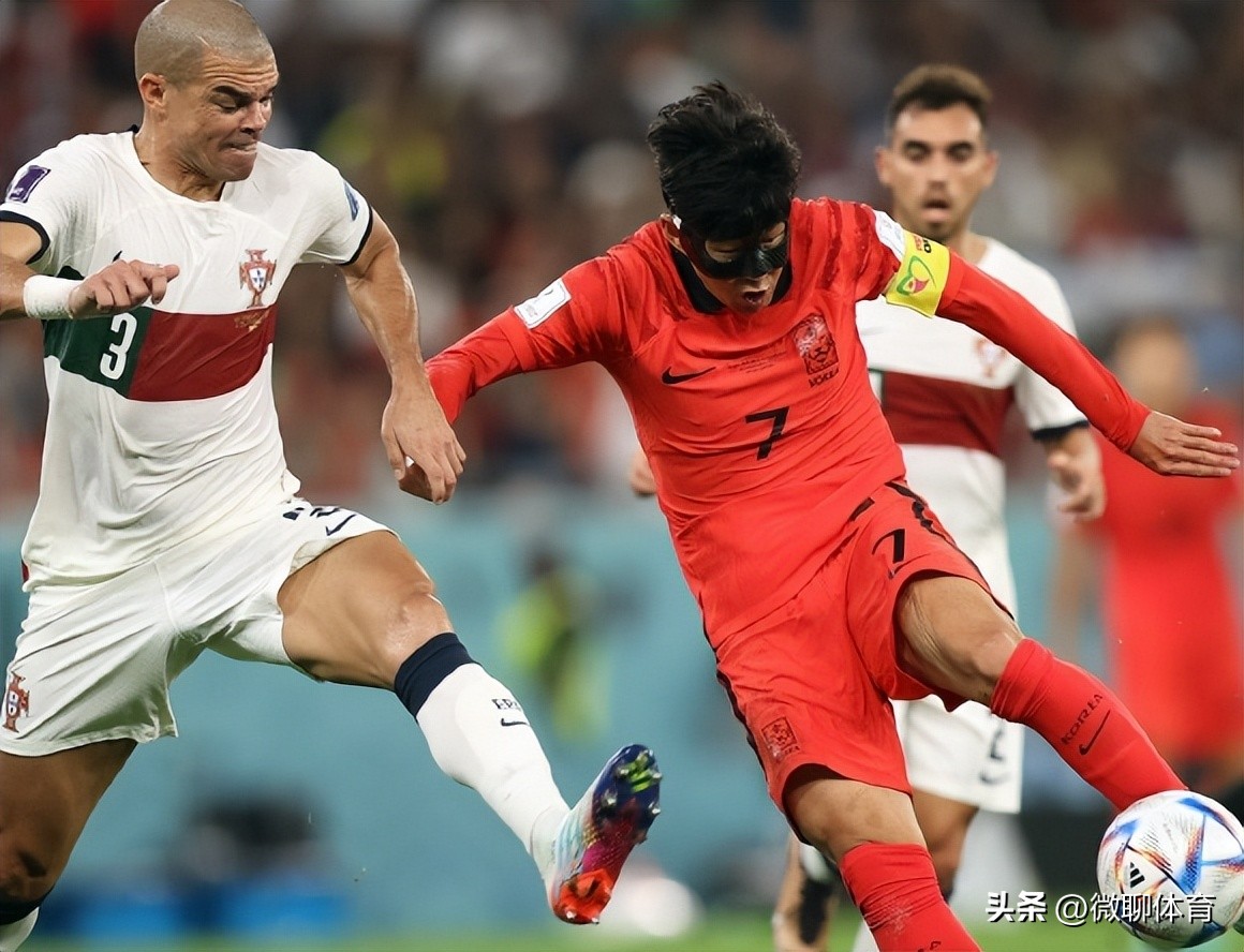 世界杯韩国积分榜最新排名,世界杯葡萄牙惨败