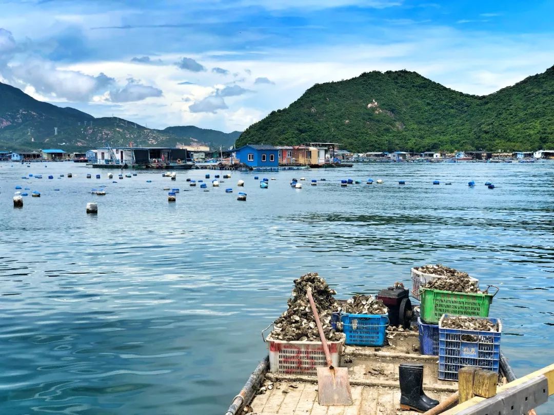 耘境见山精品民宿去七娘山,深圳耘境见山度假美宿