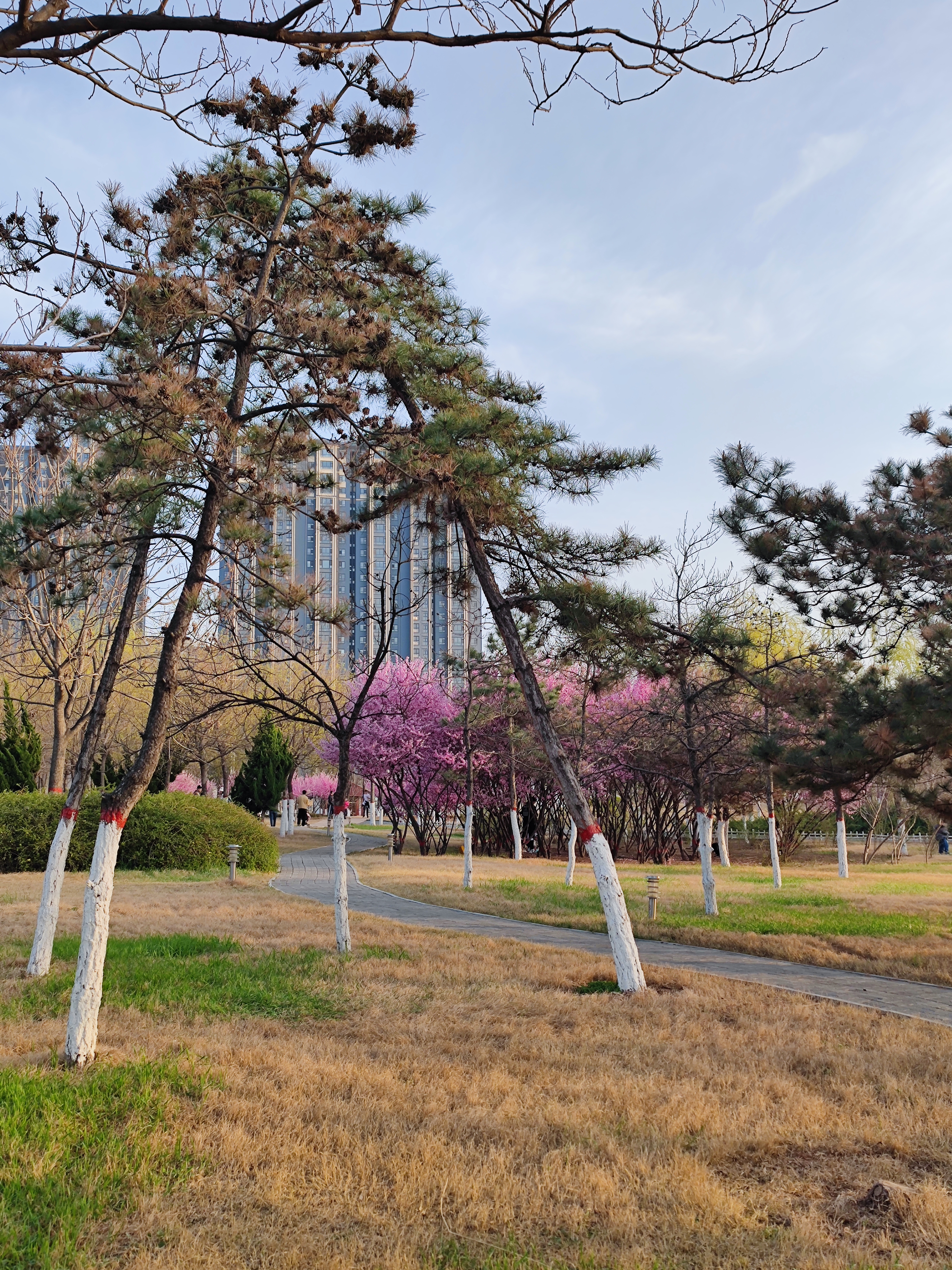 邯郸疫情旅游攻略,疫情当前少去人多的地方