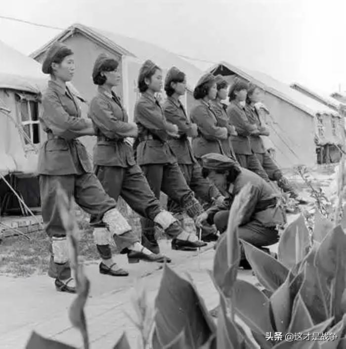 对越作战老兵回忆,对越作战女兵亲历记