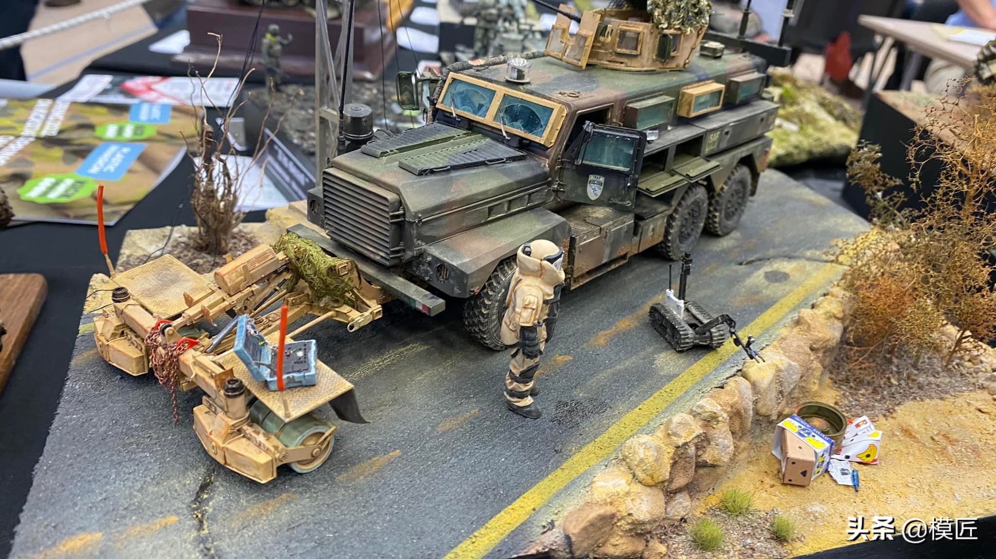 匈牙利莫森金奖,莫森模型展