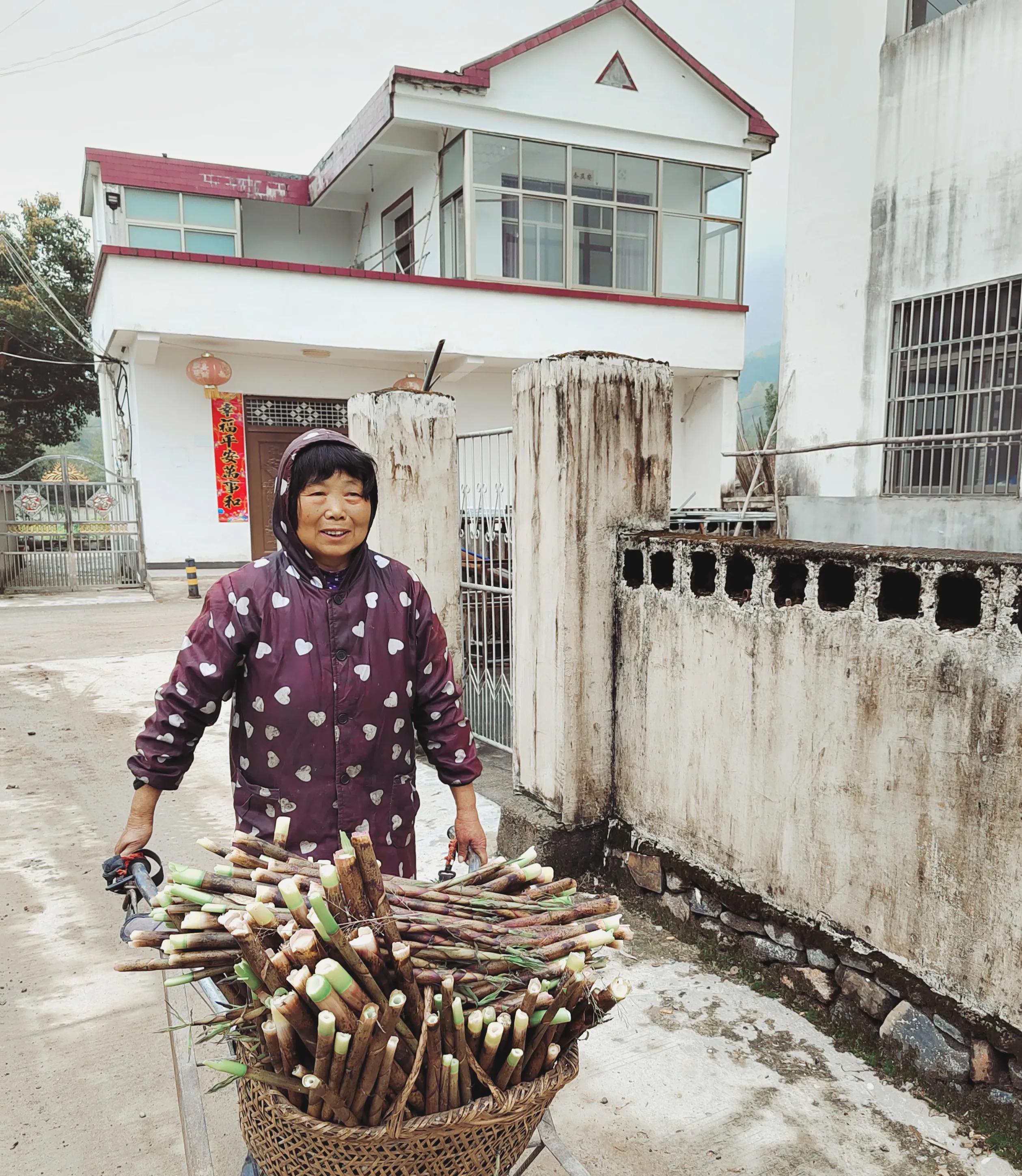 时代新视点‖王坤华：好竹连山觉笋香