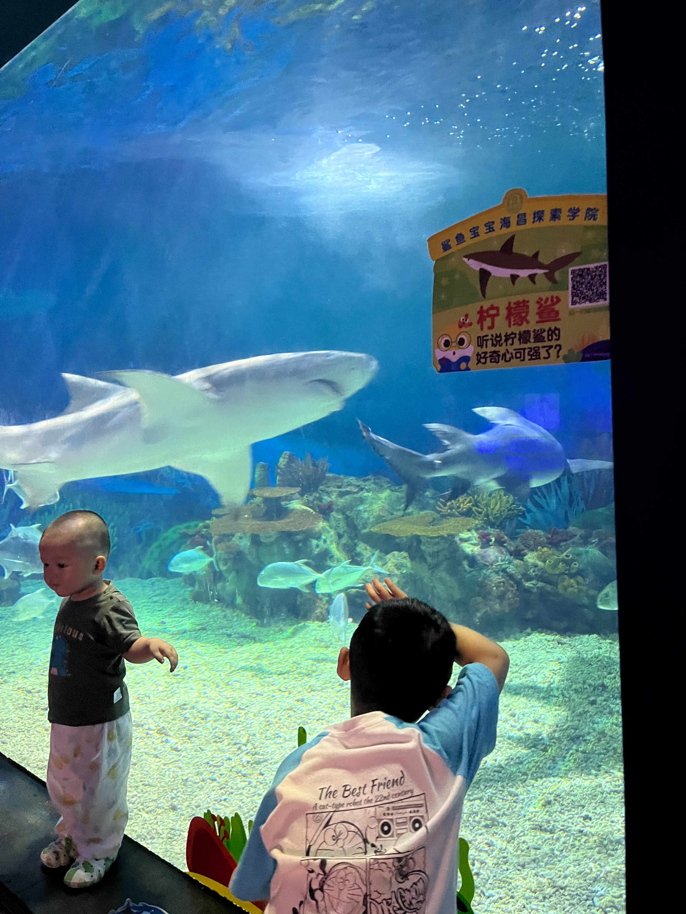 奥特曼主题馆上海海昌游玩攻略,日本奥特曼主题公园旅游