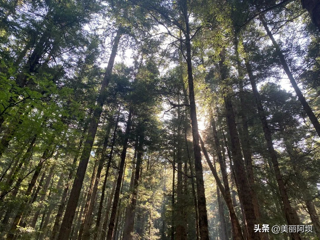 挥别八月夏末，在九寨沟绚烂初秋邂逅