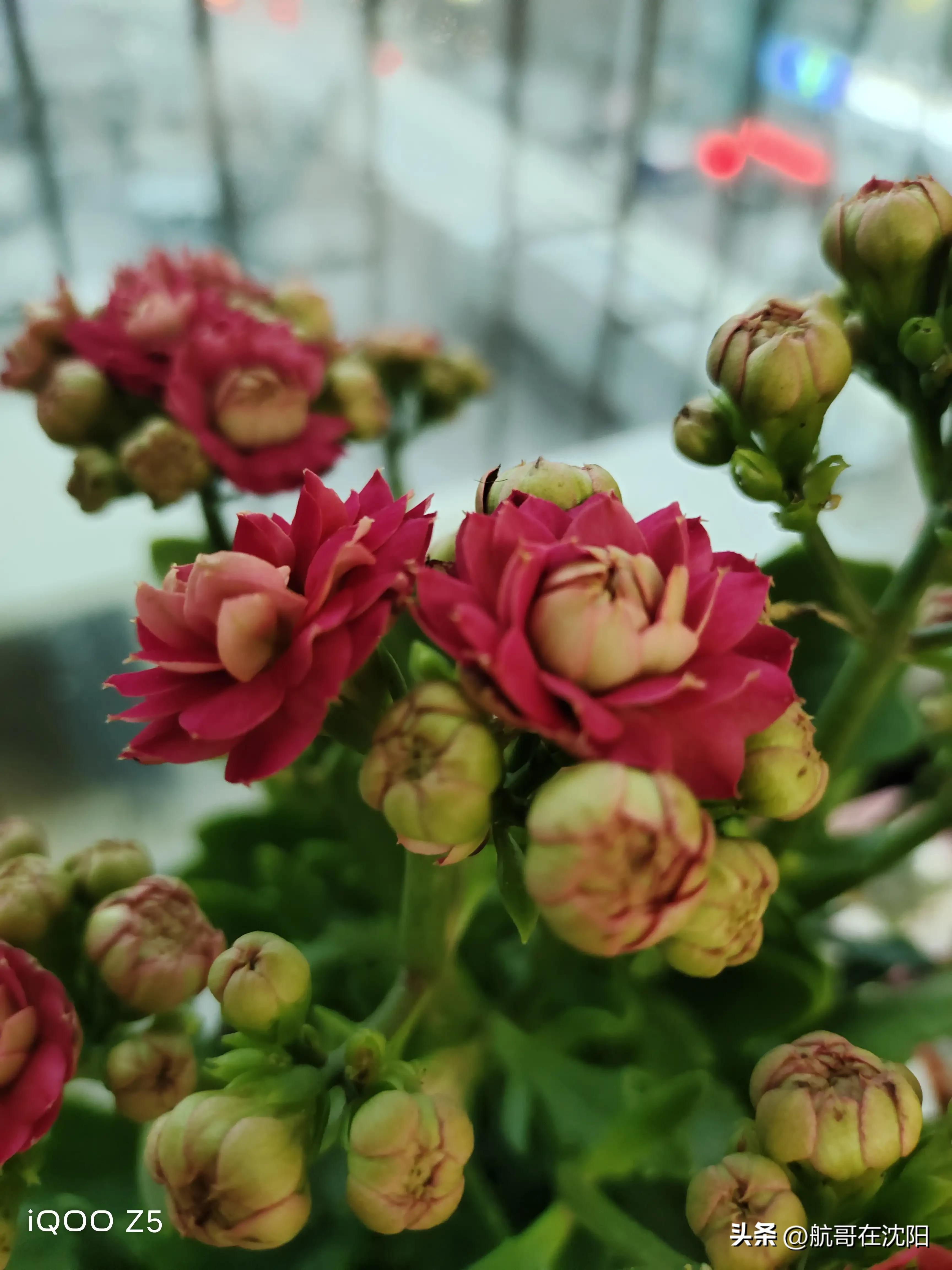 全款买房买车入住小区，邻居一番话令我顿悟，做人不低调真没朋友