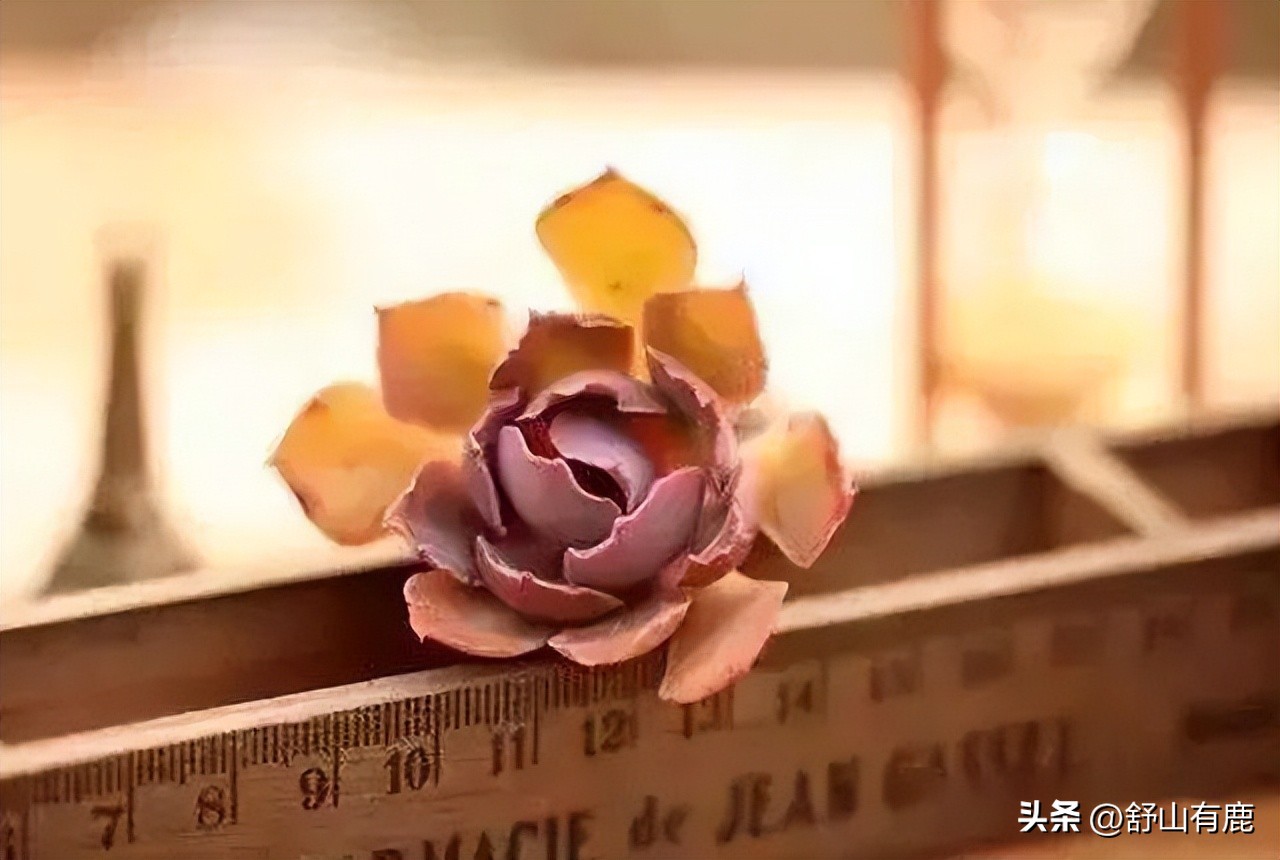 家中有这三种子孙福气会不请自来,家庭出现三点是衰败信号