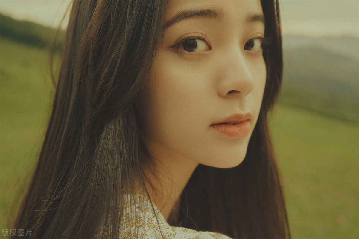 鸽子和燕子的爱情故事的寓意,拜年红包寓意爱情故事