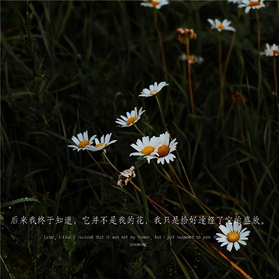 让人看了心碎的伤感图,伤感的心情图片大全