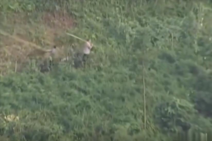 贵州山火相同的案例,贵州水田里的火焰