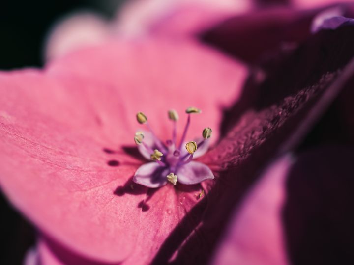 描写春天梅花的优美句子摘抄,描写校园春天早晨的优美句子