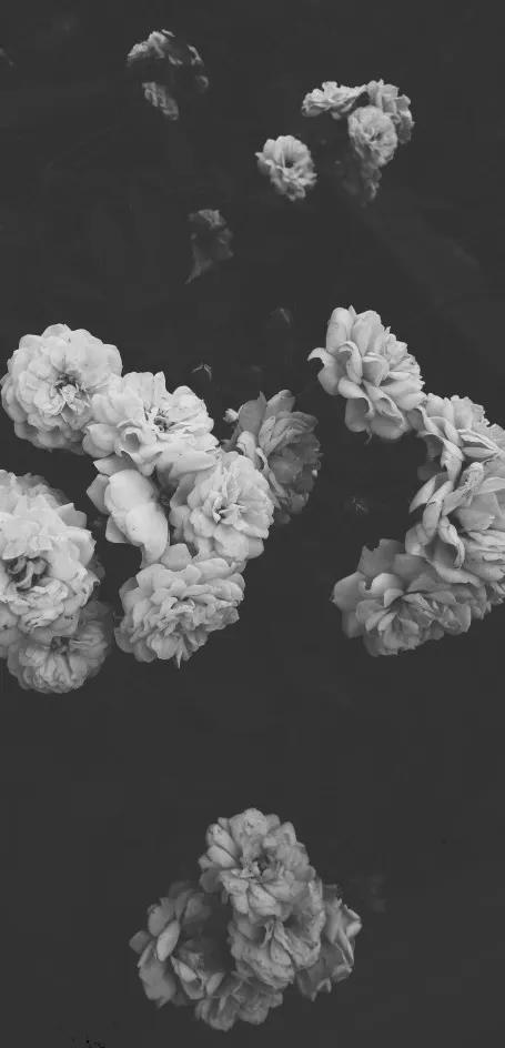 黑暗系的壁纸文字,黑暗色系的壁纸