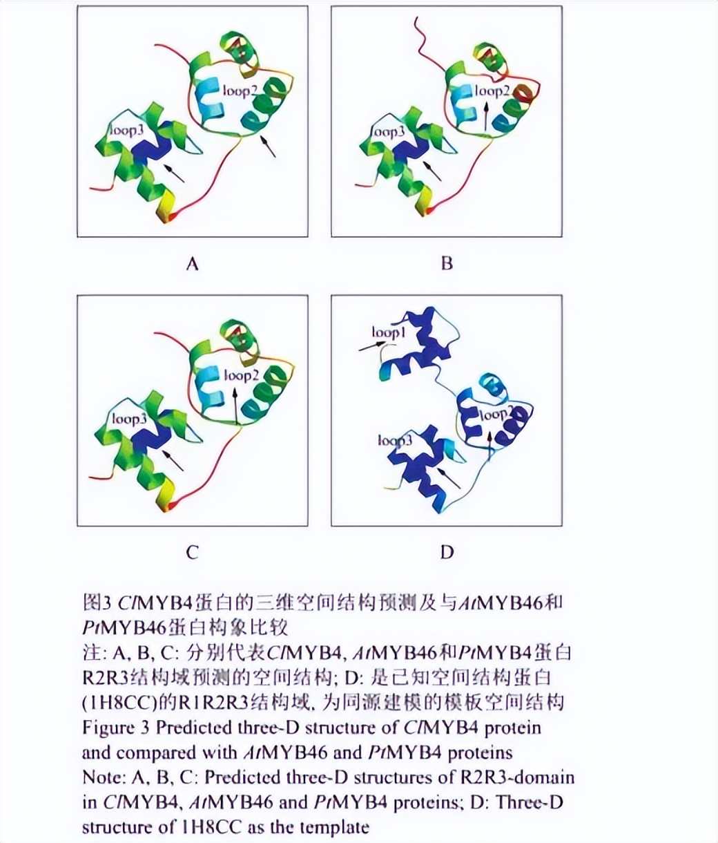 植物定骨架二萜合成途径：UGT86酶家族功能研究有什么发现？