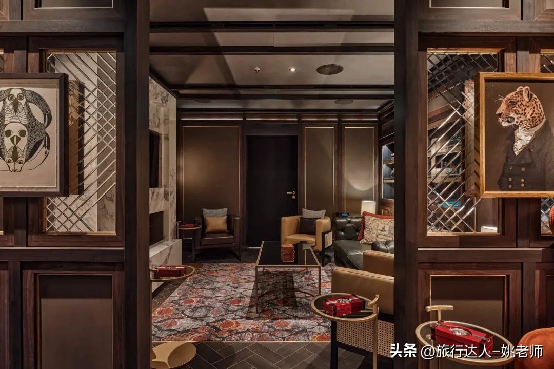 银海邮轮奋进号南极,银海奋进号邮轮