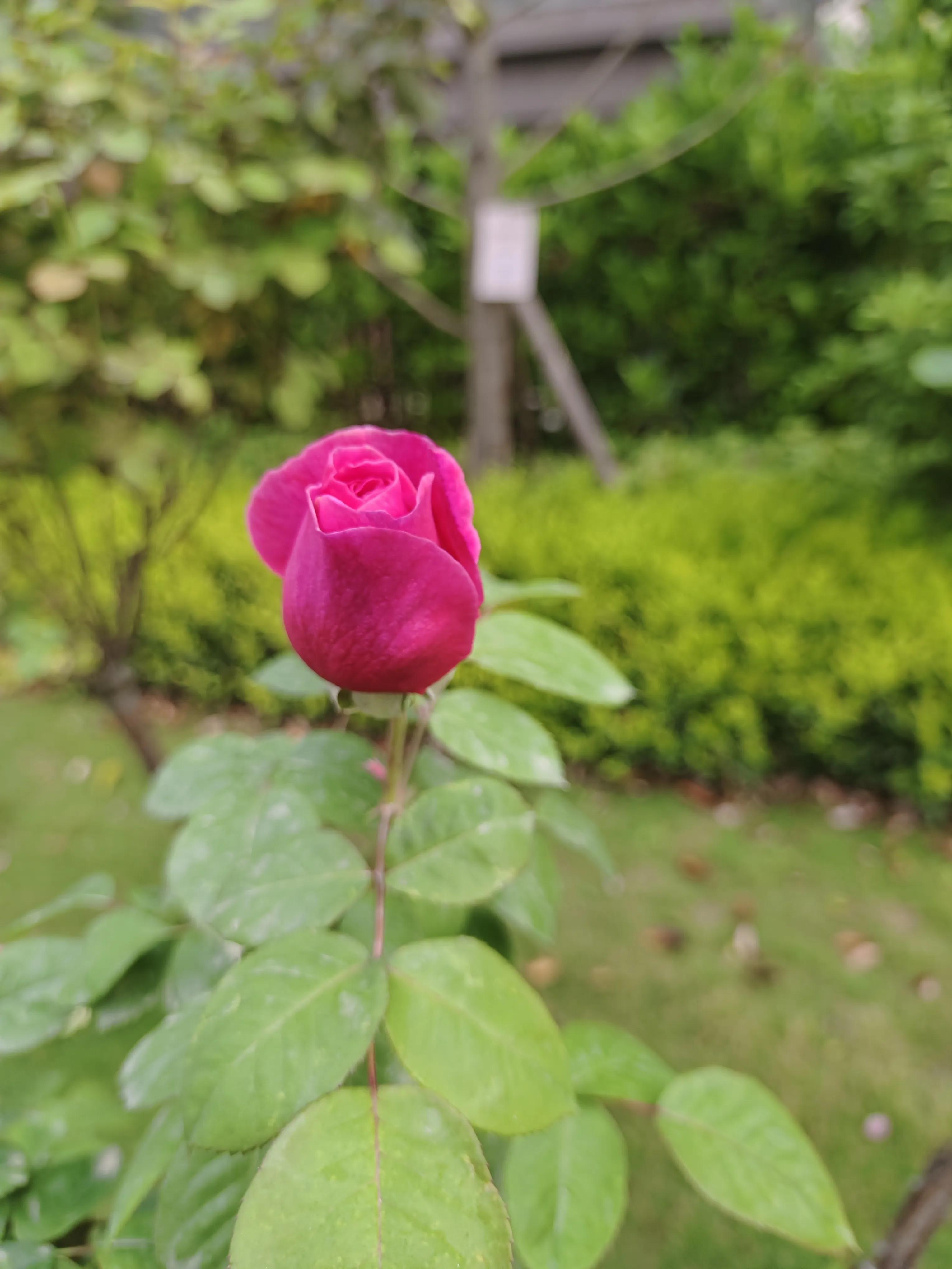 商场“联营扣点”销售方式如何缴纳增值税？