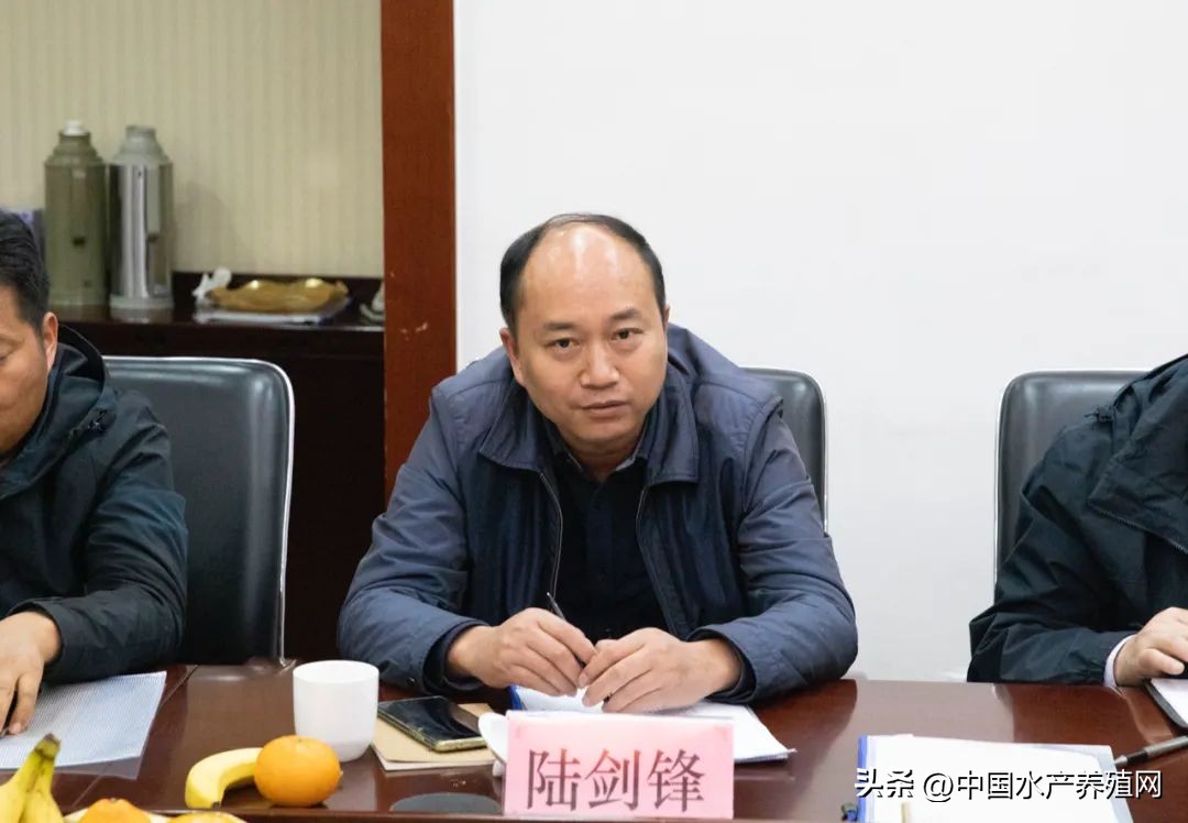 2022年安徽省渔业协会换届筹备会议召开,聚焦安徽渔业发展