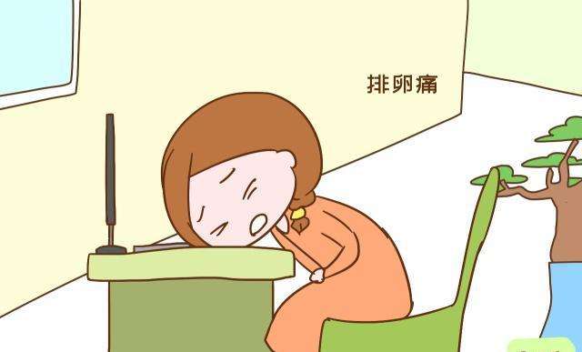 同房最佳时间？关于排卵那些事