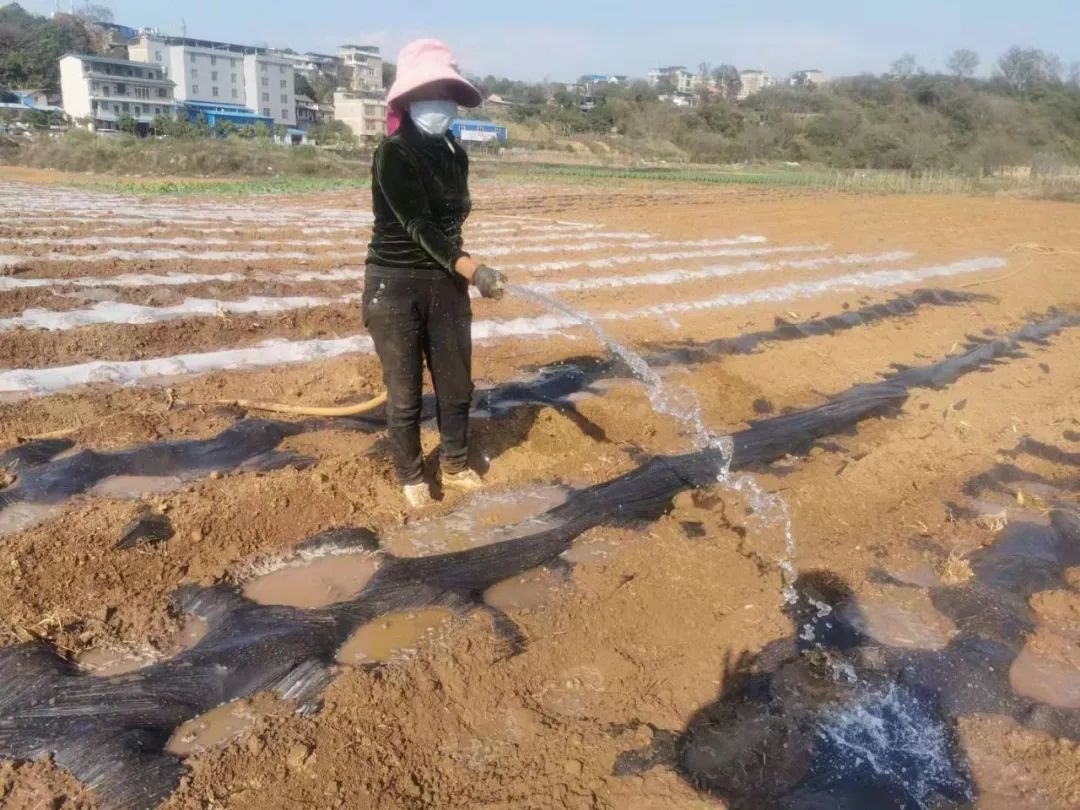农民用地下水浇地违法吗,抽地下水灌溉农田违法吗