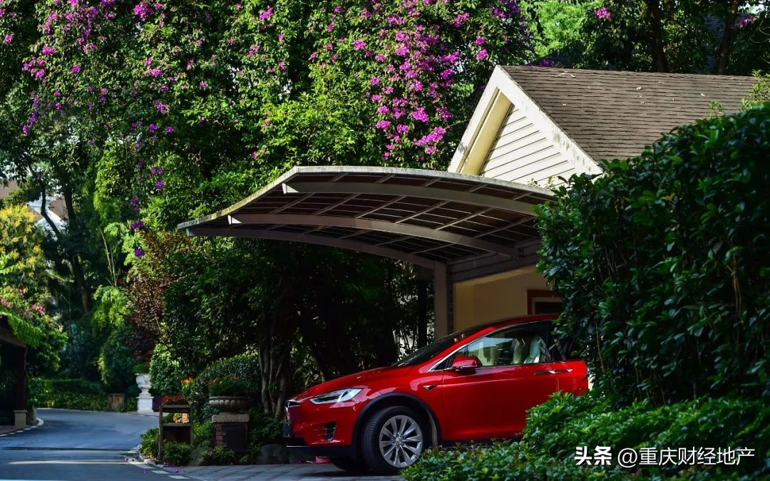 从*旗国**手到保安，我与香樟林守望20年