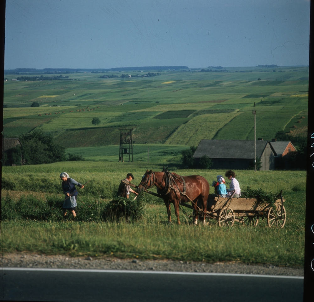 慕容大讲堂:闪击波兰的惨痛经验教训