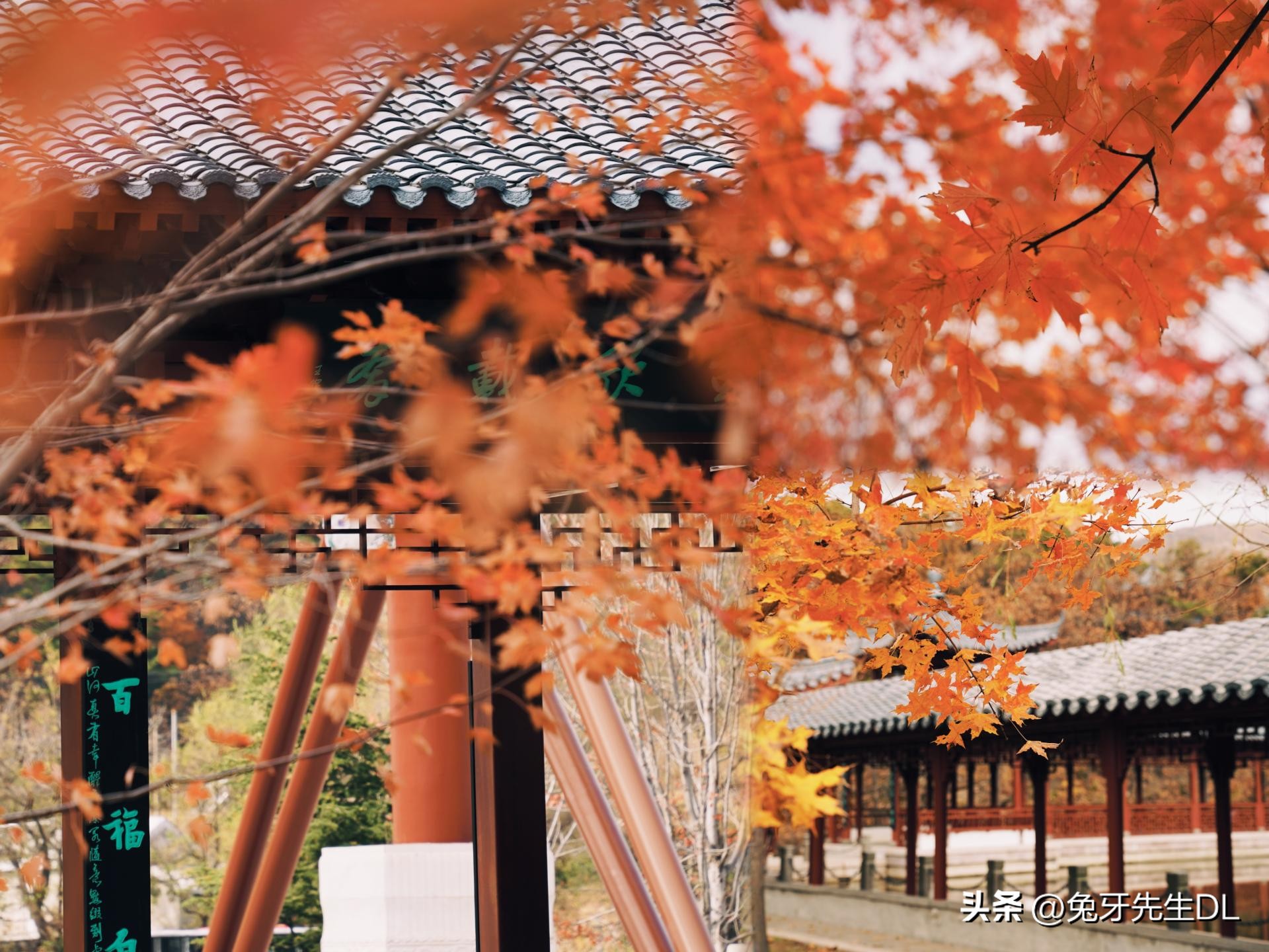 东芝电饭煲rc-10,东芝RC-10LTC电饭煲