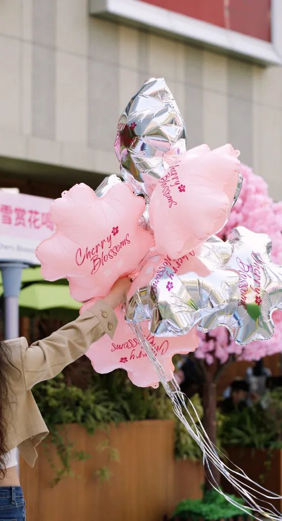 樱花季观光为什么选不了,樱花营销