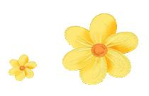 99.9%内衣内裤专用洗衣液测评,竹马之友内衣