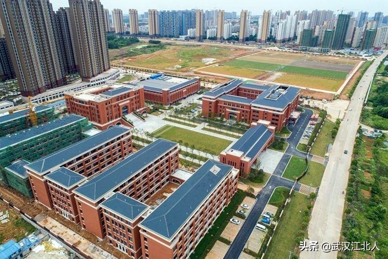 蒿俊闵讨薪后续,蒿俊闵讨薪