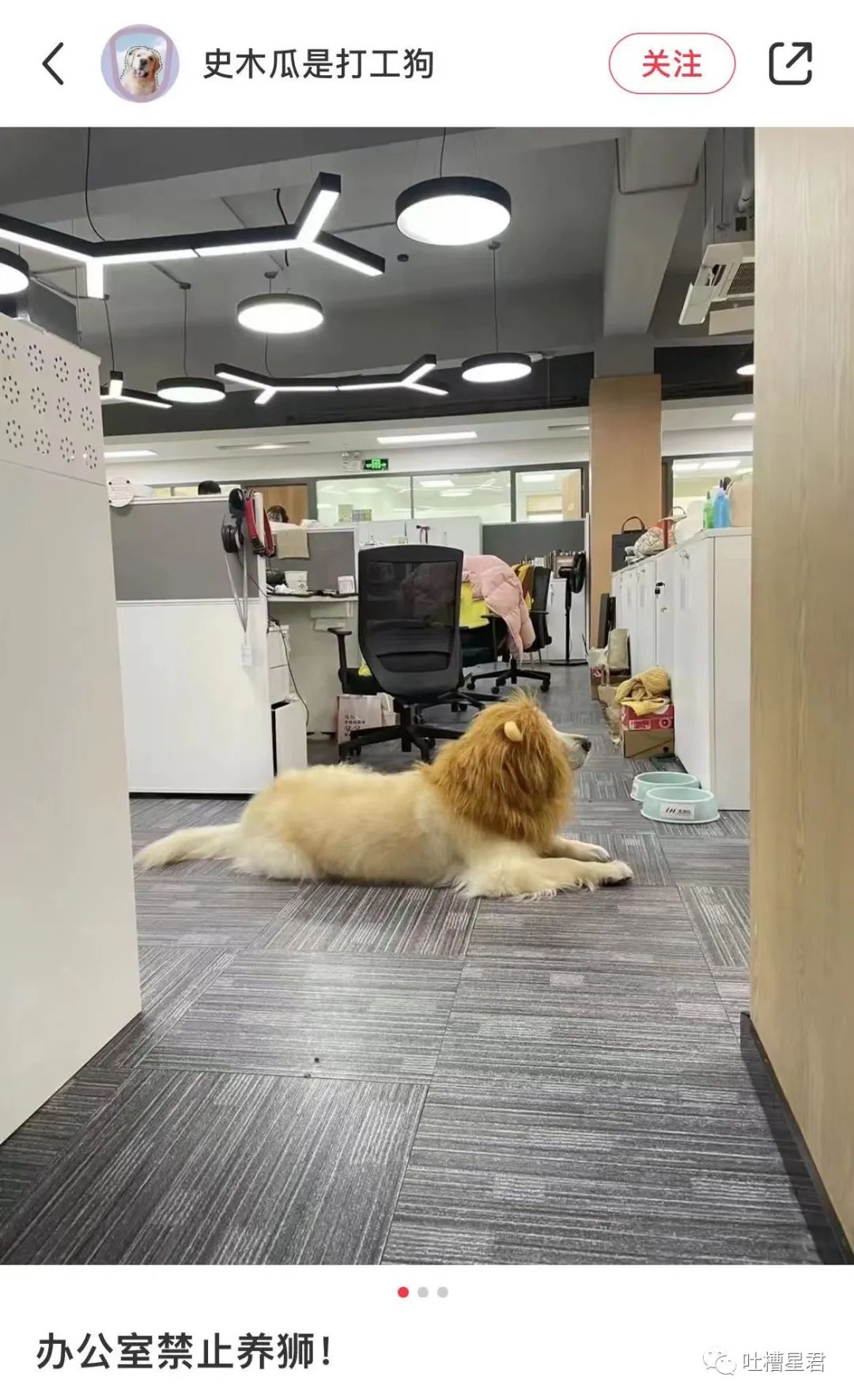 千万不要随便乱起淘宝名,不要乱起淘宝名字