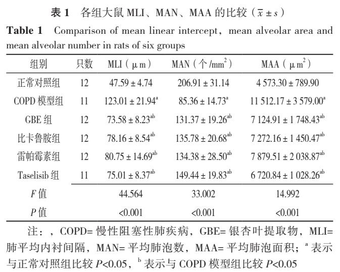 银杏叶提取物防治慢性阻塞性肺疾病的机制研究：基于PI3K/Akt/mTOR信号通路调控肺泡巨噬细胞自噬