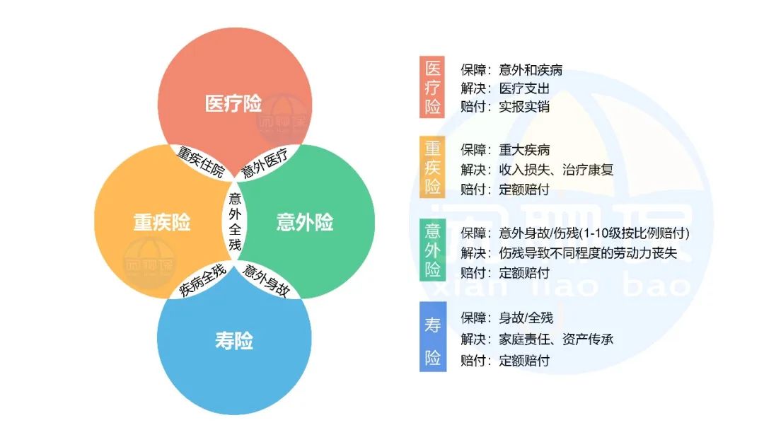 保险四大金刚测评,保险四大金刚