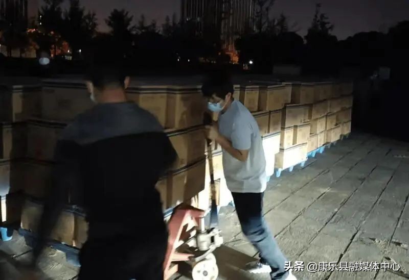 上海物流运输比较,上海标准物流运输方案怎么样