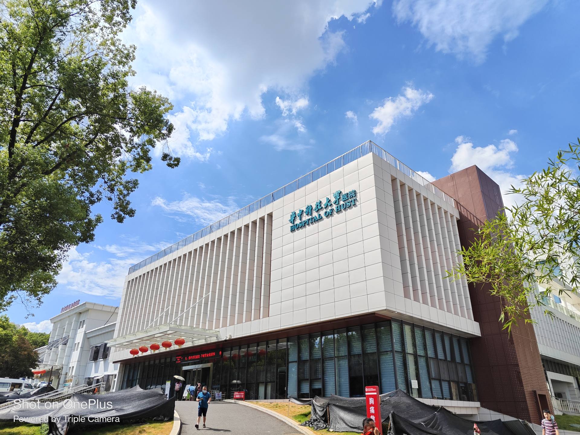 一加acepro学生,一加acepro原神评测